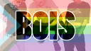 The Official R/Bois Server banner