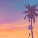 SCE Party - PS4 & PS5 Jailbreaking Banner