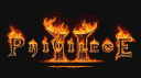 Privilege banner