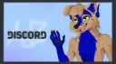 Pawradise banner