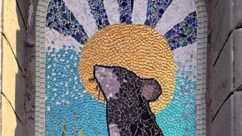 r/seattle banner