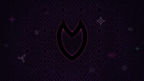 Star Nation banner