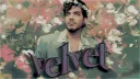 VELVET premades banner