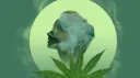 Illegal Crib banner