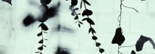 mars Banner