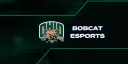Bobcat Esports banner
