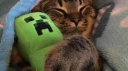 CIASTKA POTWORKA Discord server banner