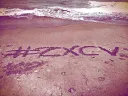 Team zxcv banner