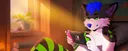 banner