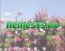 nemesys network server banner