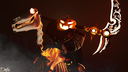 Nighthawk Vanguards Banner