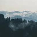 Elemental#9492 banner