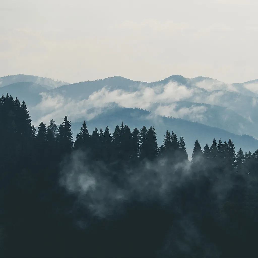 Elemental#9492 banner