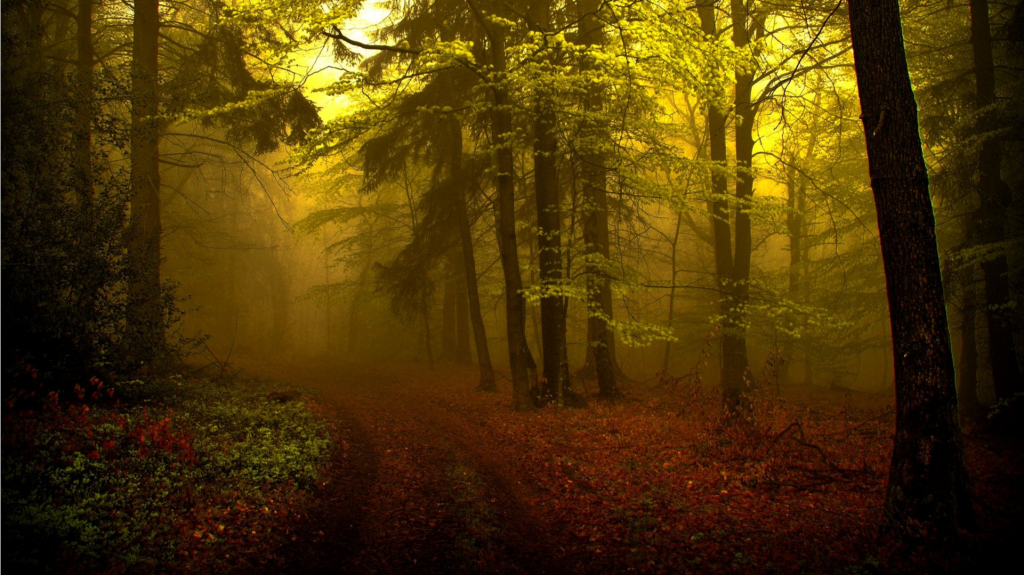 Australia • Archaic • Gaming • Active • Aus • Oceania • America • Europe • Uk Discord server banner