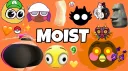 Moist banner