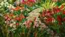 ❀ Daisy's Flower Patch ❀ banner