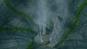 Wizard101 Spoilers Banner