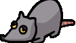 RAT PACK banner