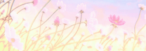Cove🌙 Banner