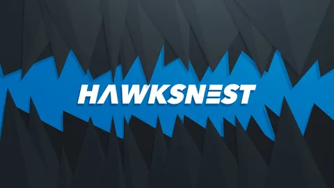 HawksNest banner