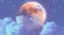 ☽ U S K server banner