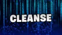 Cleanse Hangout banner