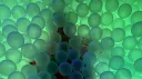 Green Max0r Server banner