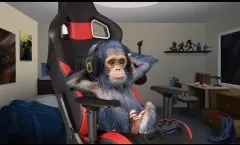 Elina's Monkeys banner