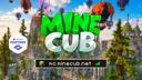 MineCub NetWork Banner