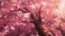 Intel Edit's Server banner