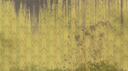 Spatial Quotient Banner