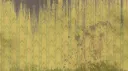 Spatial Quotient banner