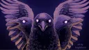 Crows Crows Crows banner