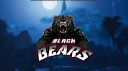 Black Bears banner