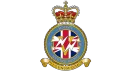 Joint Strike Wing banner