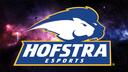 Hofstra Esports Banner