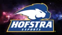 Hofstra Esports banner