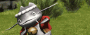 banner