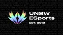 UNSW ESports Club banner