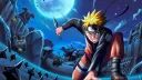 Ninja Village banner