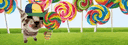 banner