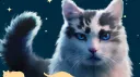 Warriors Wiki banner