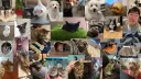 GT Overwatch 23 banner