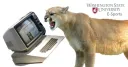 WSU Gaming Community banner