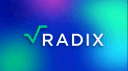 Radix DLT banner