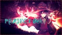 New Light banner