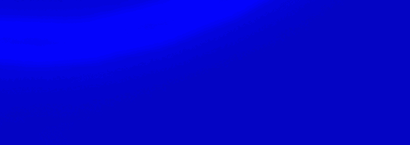 stein Banner