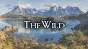 The Wild banner
