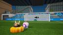 World of Football Banner