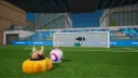 World of Football banner